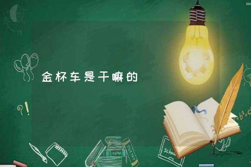 Xe Jinbei để làm gì?