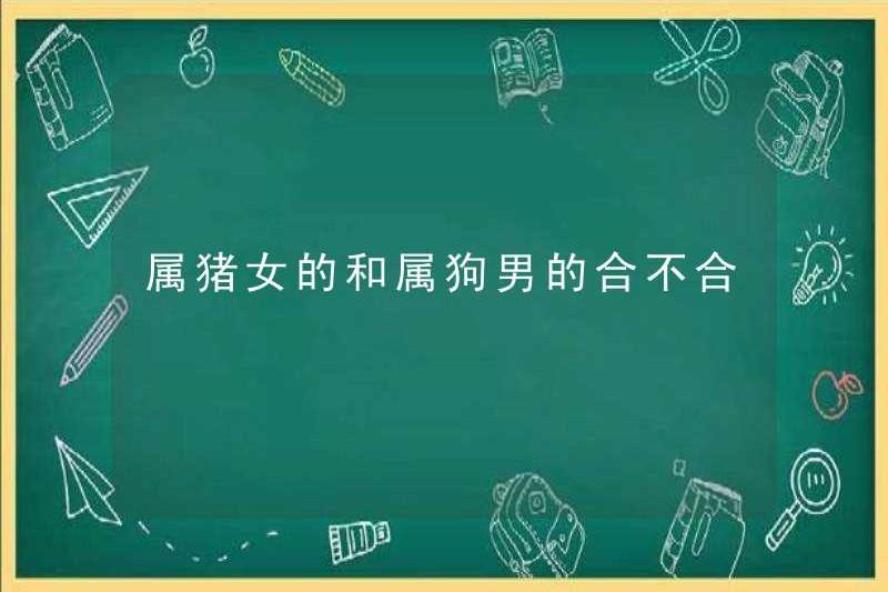 Cô gái lợn có tương thích với người đàn ông chó không