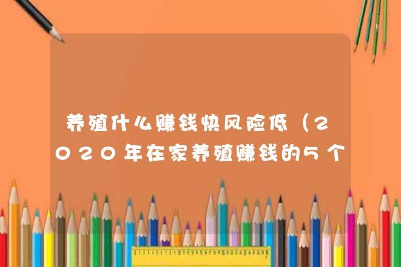 Kiếm tiền nhanh chóng và rủi ro thấp (5 dự án kiếm tiền tại nhà vào năm 2020)