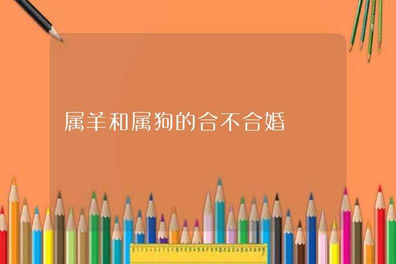 Là cuộc hôn nhân giữa cừu và chó