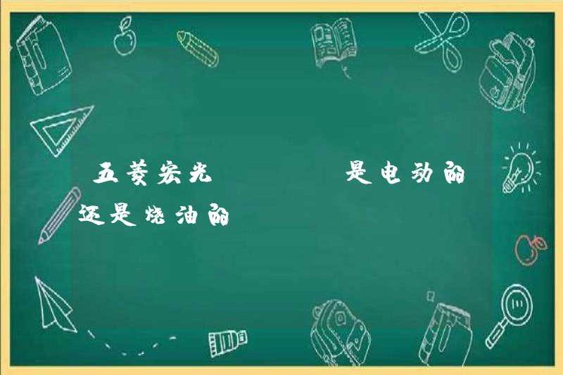 Là Wuling Hongguang Mini Electric hoặc Oil-Burning?