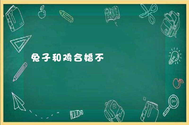 Con thỏ và con gà đã kết hôn?