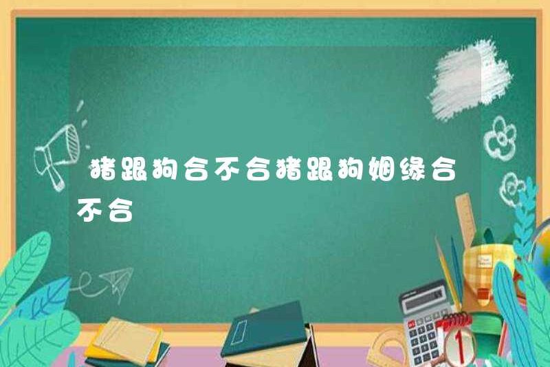 Con lợn và chó có được căn chỉnh không?