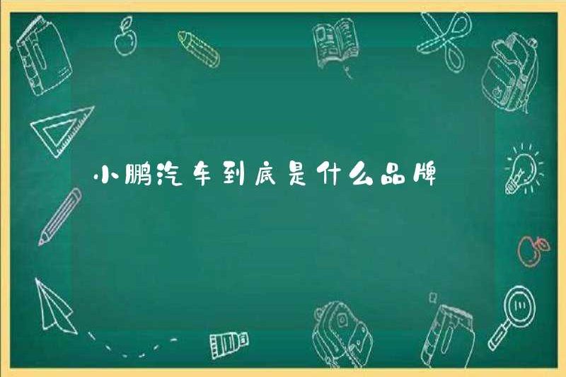 Xiaopeng Motors là thương hiệu nào