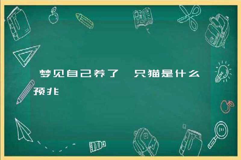 Dấu hiệu mơ ước có một con mèo là gì