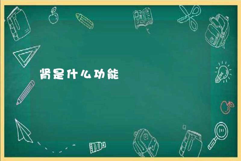 Chức năng của thận là gì