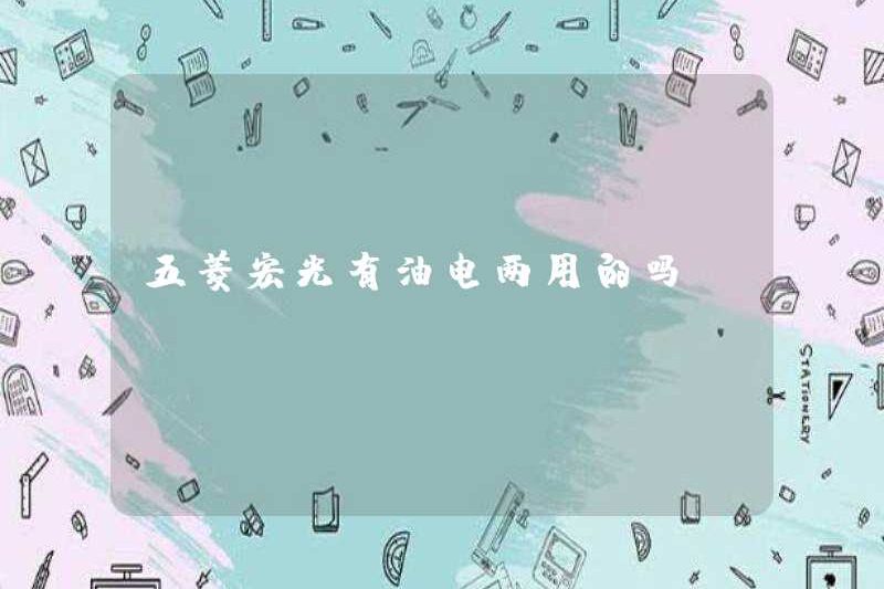 Wuling Hongguang có dầu và điện không?