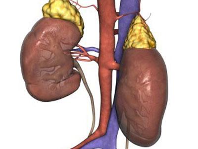 Các cuộc kiểm tra và điều trị viêm mào tinh hoàn là gì? Có thể chữa khỏi viêm mào tinh hoàn bằng cách dùng thuốc?