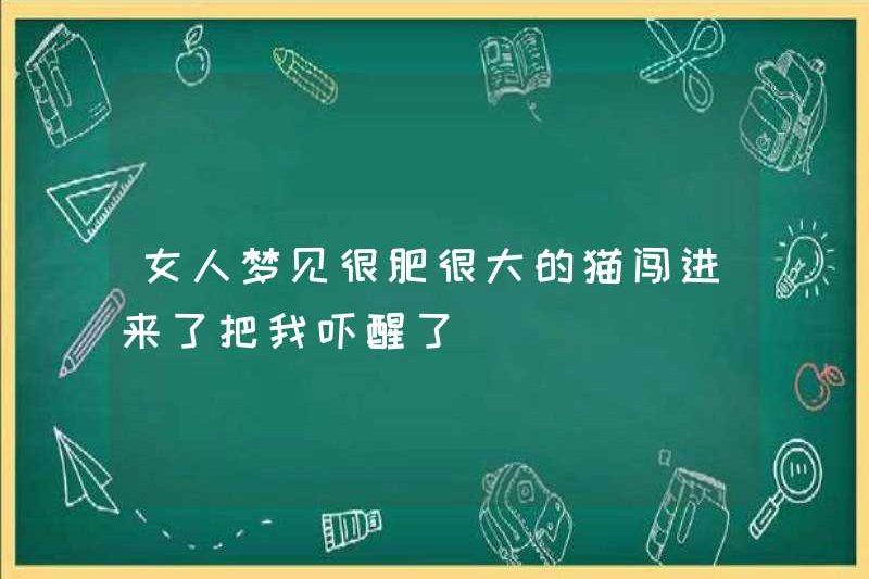 Một người phụ nữ mơ thấy một con mèo rất béo đã đột nhập và đánh thức tôi