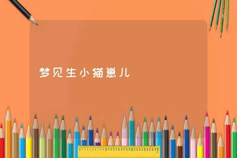 Mơ ước có một chú mèo con