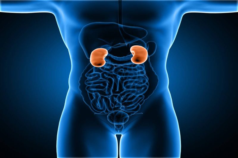 Ăn gì để nuôi dưỡng thận vào mùa đông? Tại sao bạn nuôi dưỡng thận vào mùa đông