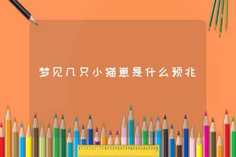 Dấu hiệu mơ ước của một vài chú mèo con là gì