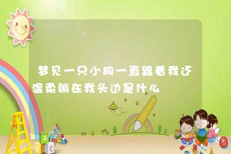 Giấc mơ về một con chó con theo tôi và nằm nhẹ nhàng bên cạnh đầu tôi?