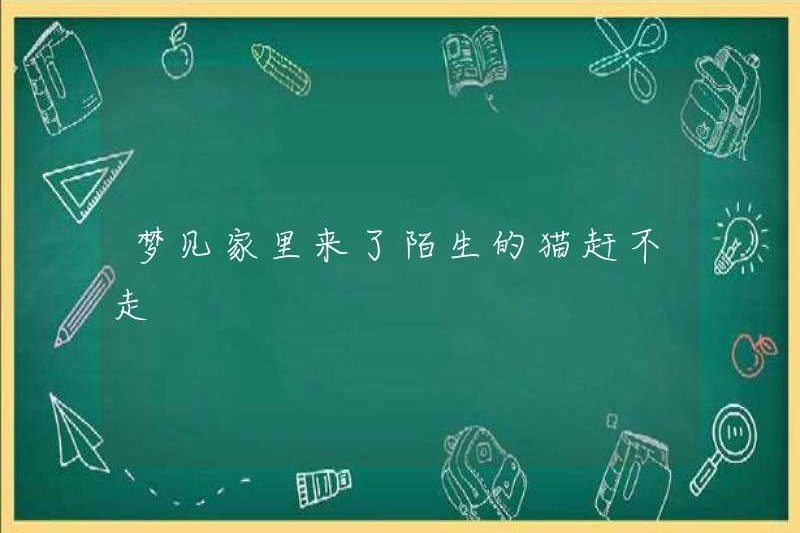 Nằm mơ thấy một con mèo kỳ lạ đến nhà bạn không thể lái nó đi