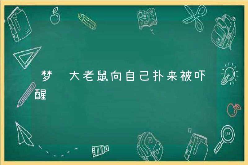 Tôi đã bị đánh thức khi tôi mơ thấy một con chuột lớn đang lao về phía tôi