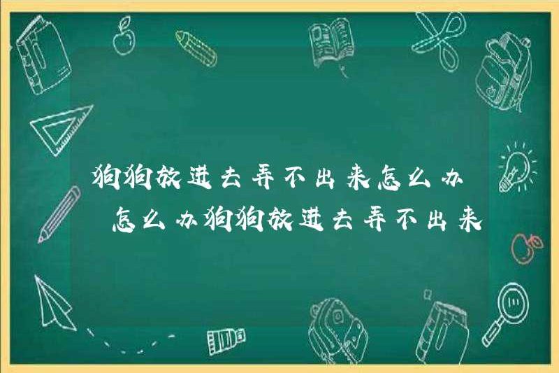 Tôi nên làm gì nếu con chó được đưa vào? Tôi nên làm gì nếu con chó được đưa vào?