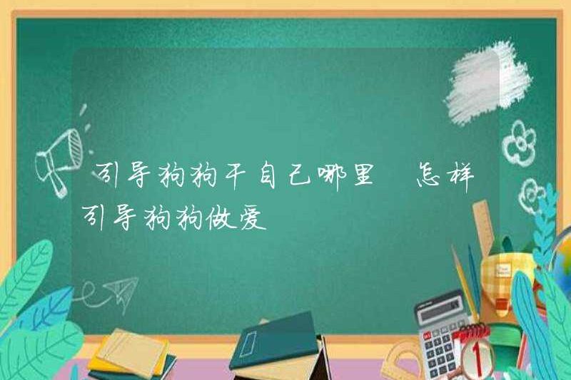 Hướng dẫn con chó của bạn ở đâu để quan hệ tình dục? Cách hướng dẫn con chó của bạn quan hệ tình dục