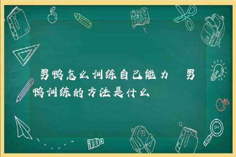 Làm thế nào để huấn luyện vịt đực? Phương pháp huấn luyện vịt đực là gì