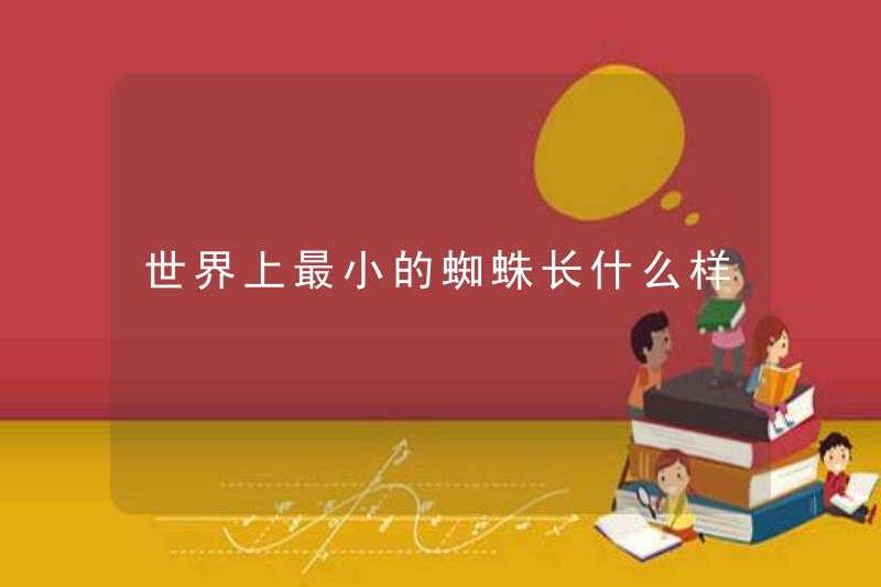 Nhện nhỏ nhất thế giới trông như thế nào