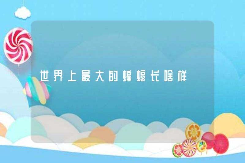 Con dơi lớn nhất thế giới trông như thế nào